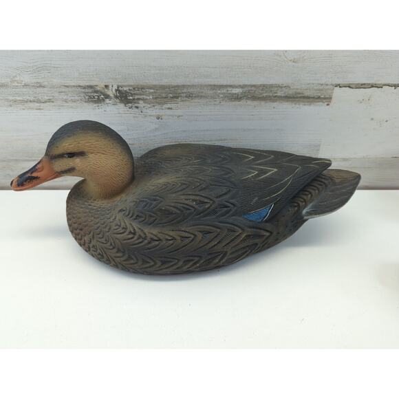 Greenhead Gear Duck Decoy Lot Of 3 Ringneck Drake Mallard Hen Wood Duck Hen - Picture 7 of 9